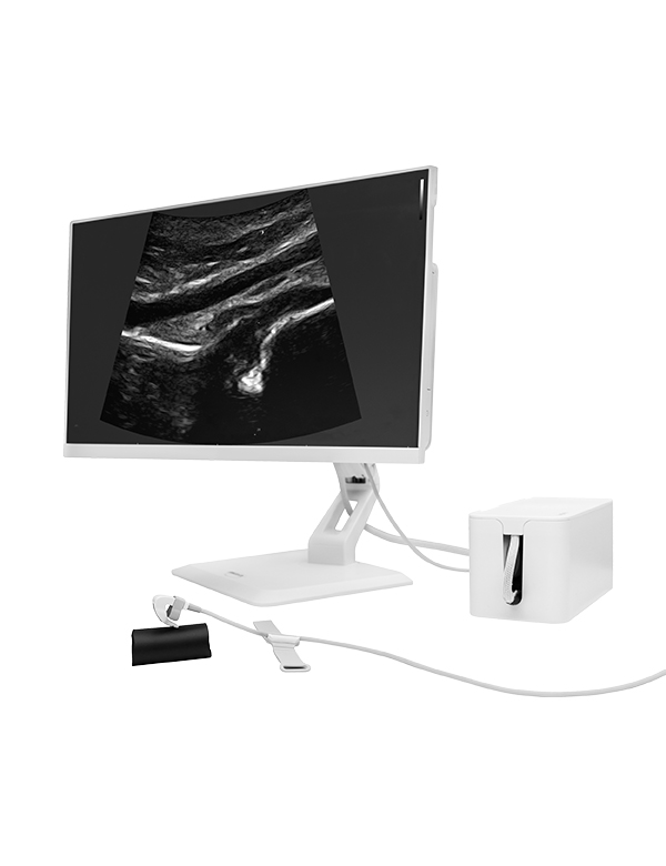 SibUS-In® — Ultrasound-Guided Aesthetic Injections